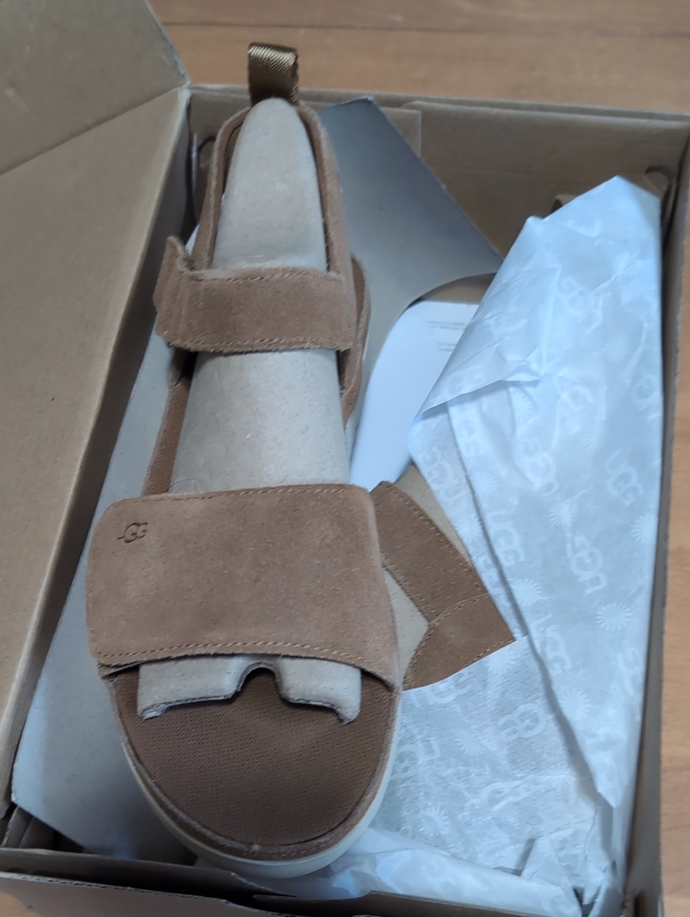 UGG Women’s Chestnut Suede Two-Strap Slide Mules